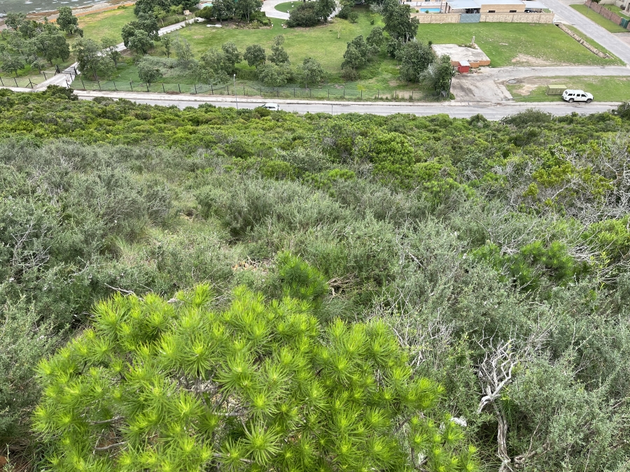 0 Bedroom Property for Sale in Amsterdamhoek Eastern Cape